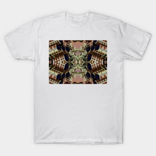 Fractal Curlers T-Shirt